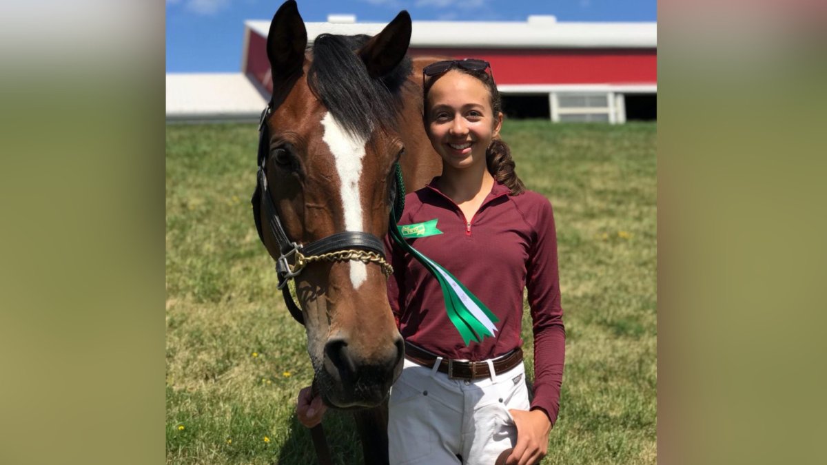 Teen killed in horseback riding accident near Hamilton was ‘an absolute joy to teach’ - image