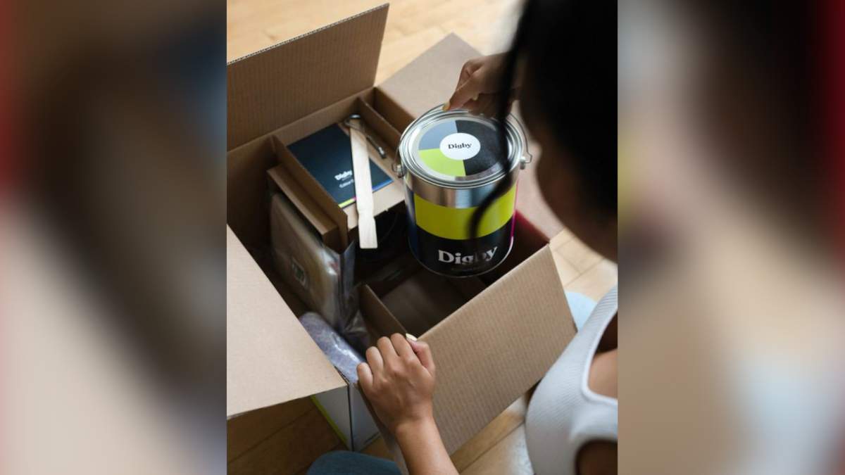 Lion’s Lair 2020: online paint store wins Hamilton innovation contest - image