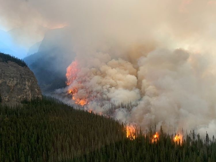 A photo of a controlled burn that took place yesterday evening at a wildfire in the Municipal District of Bighorn.
