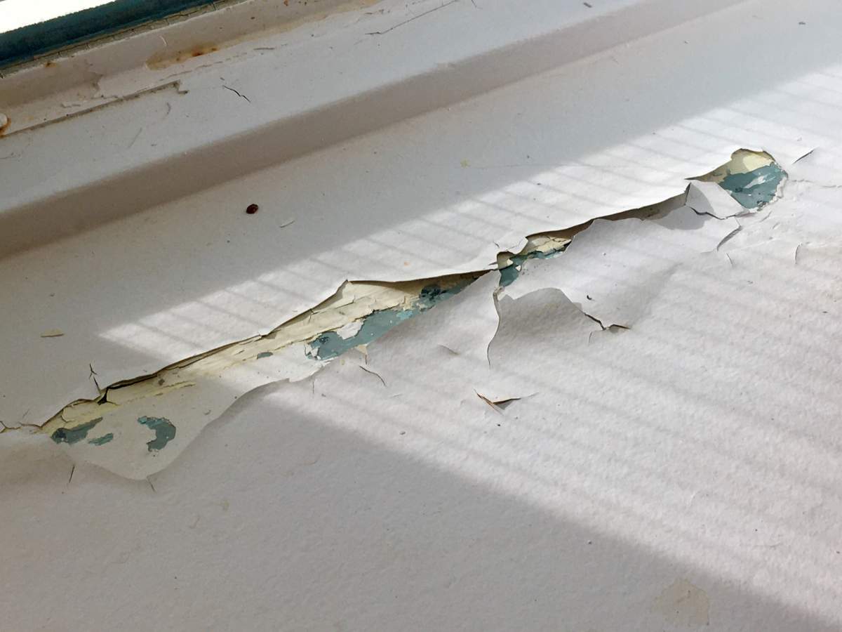 A shot of peeling paint at the Legislature Annex building taken on Sept. 23, 2020.