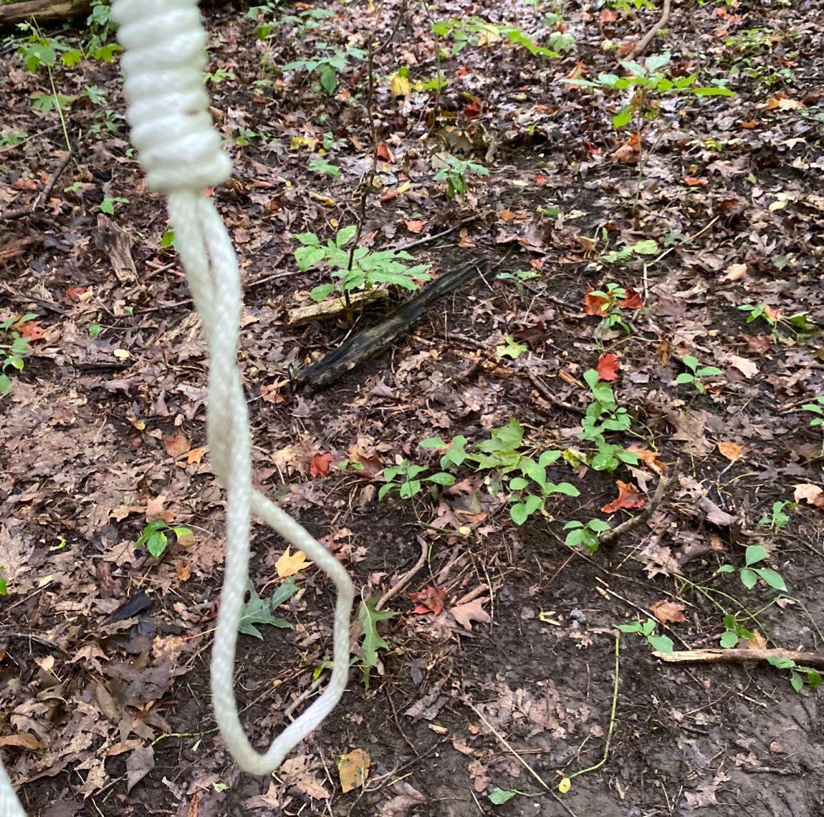A noose was found in Warbler Woods in London, Ont., on Sept. 7, 2020.