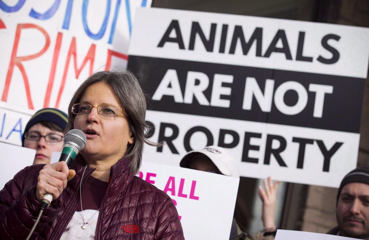 Anita Krajnc, who was charged with mischief after giving water to pigs on their way to slaughter, demonstrates outside of a Burlington courthouse in 2017.