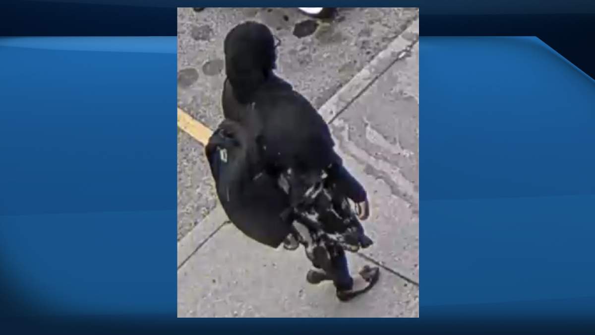 Police are asking for the public's help to identify this woman who officers believe may have witnessed an interaction linked to Vida Smith's homicide investigation. Police stress this woman is not involved in the homicide. 
