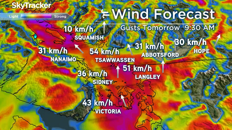 First storm of the fall set to move across B.C. starting Tuesday night - image