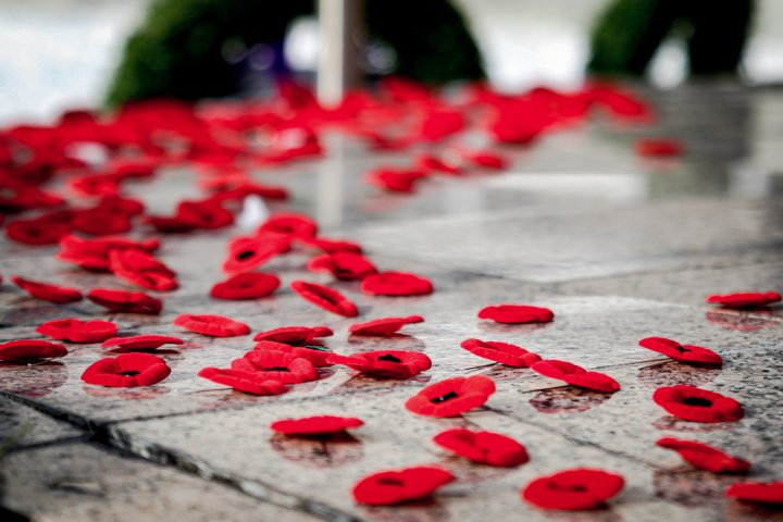 Queen’s Park holds virtual Remembrance Day ceremony