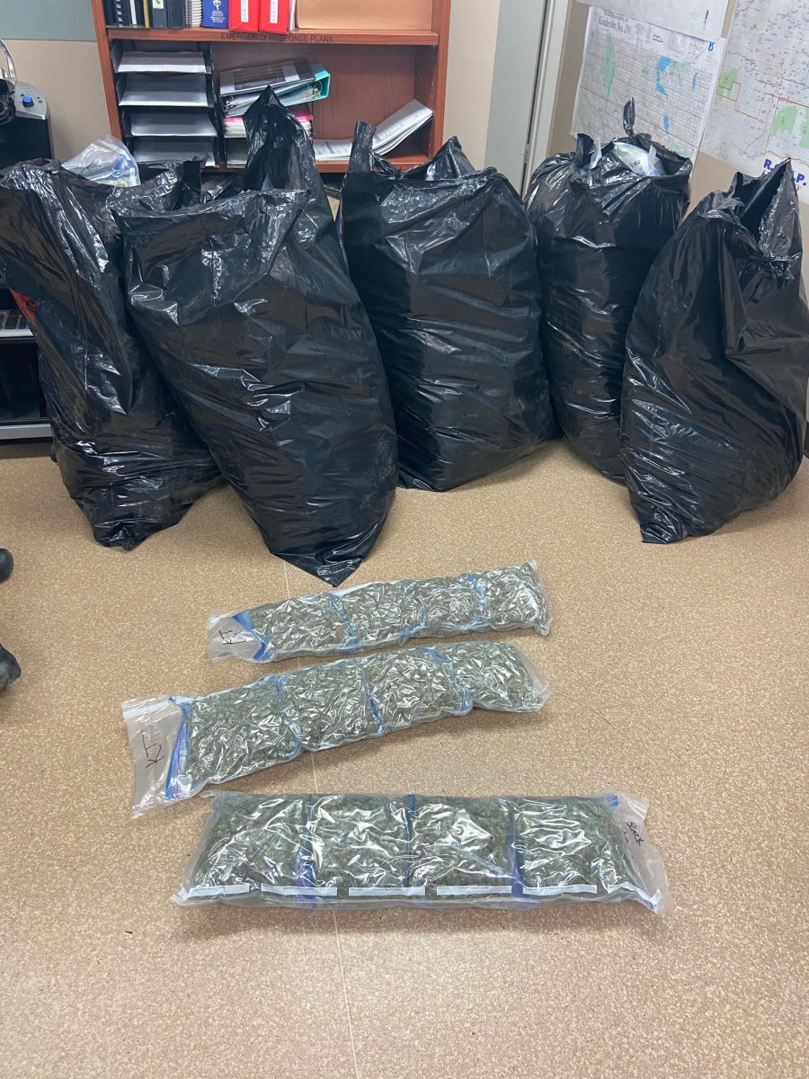Saskatchewan RCMP said 99 pounds of cannabis was seized during a traffic stop near Kindersley on Oct. 20, 2020.