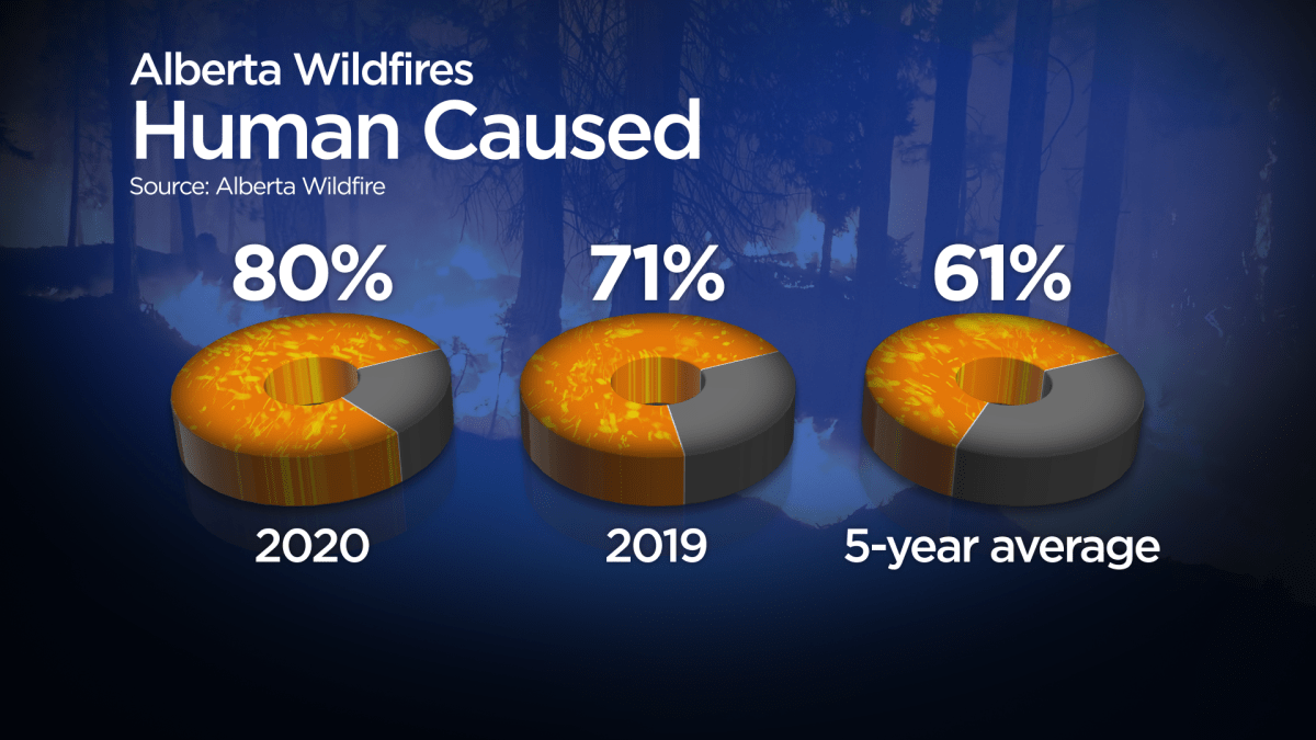 Cody Coates/Global News