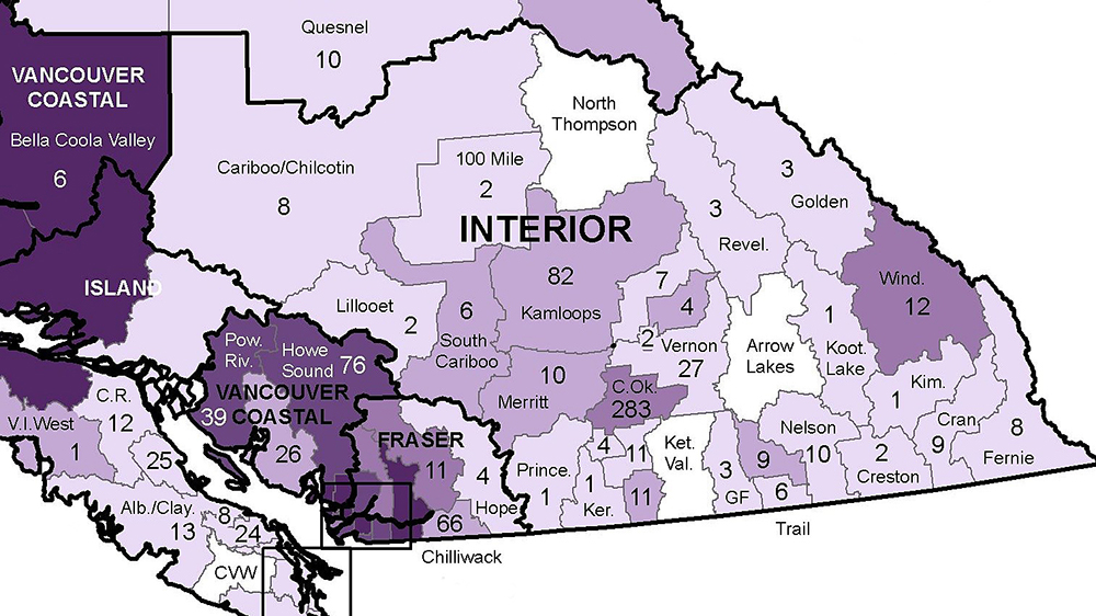 A map showing reported COVID-19 cases per micro region in B.C.’s Interior Health region, as of Oct. 29, 2020.