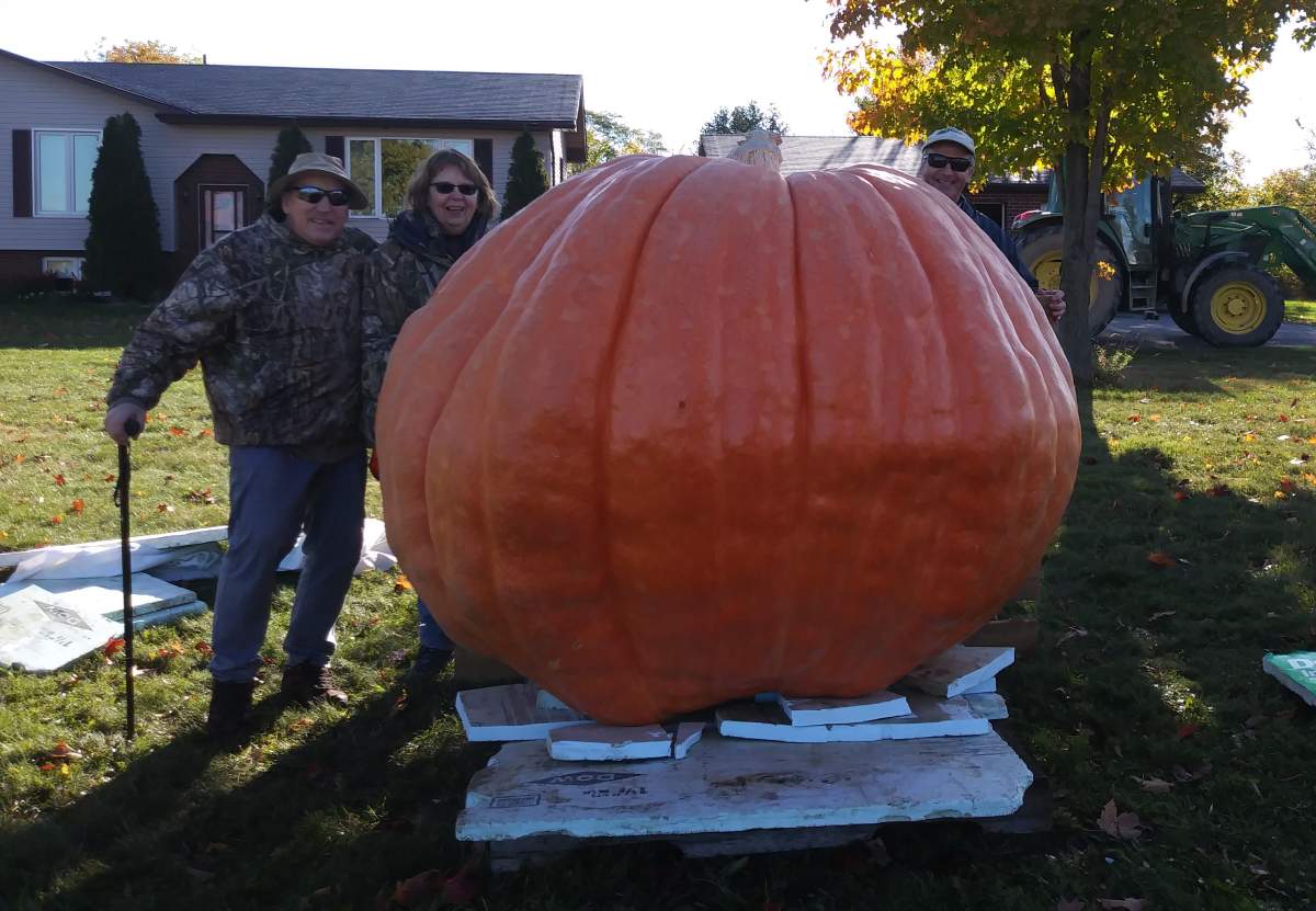 Phil and Jane Hunt and Chris Lyons have claimed Canada's largest pumpkin for 2020.