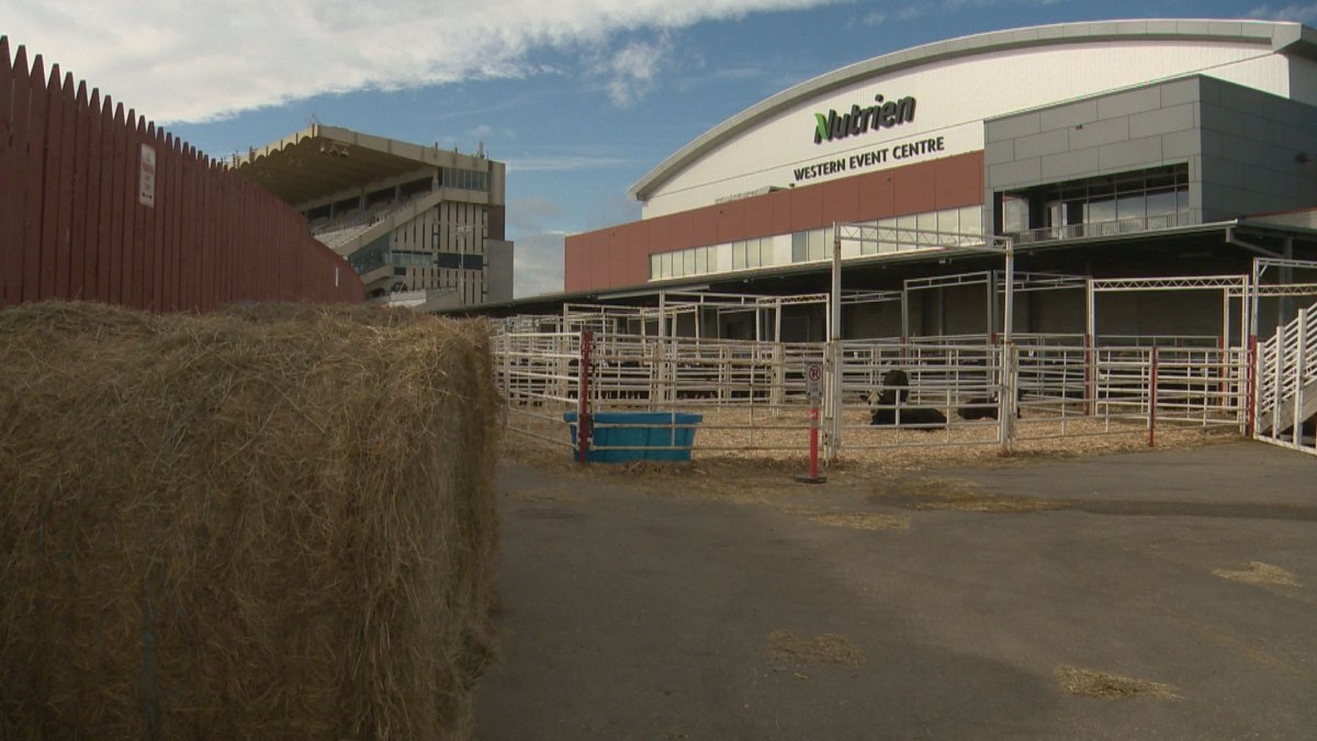 A woman was injured by a horse at the Nutrien Western Event Centre at Calgary Stampede grounds on Saturday, Oct. 10, 2020.