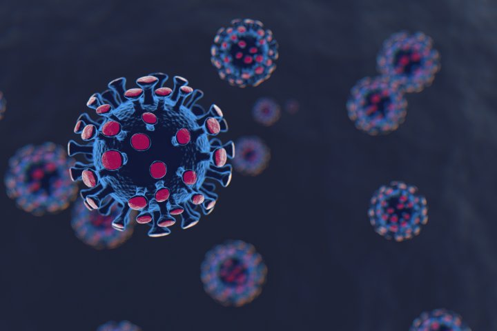 Coronavirus: Interior Health reports 10 deaths, 239 new cases during Christmas break