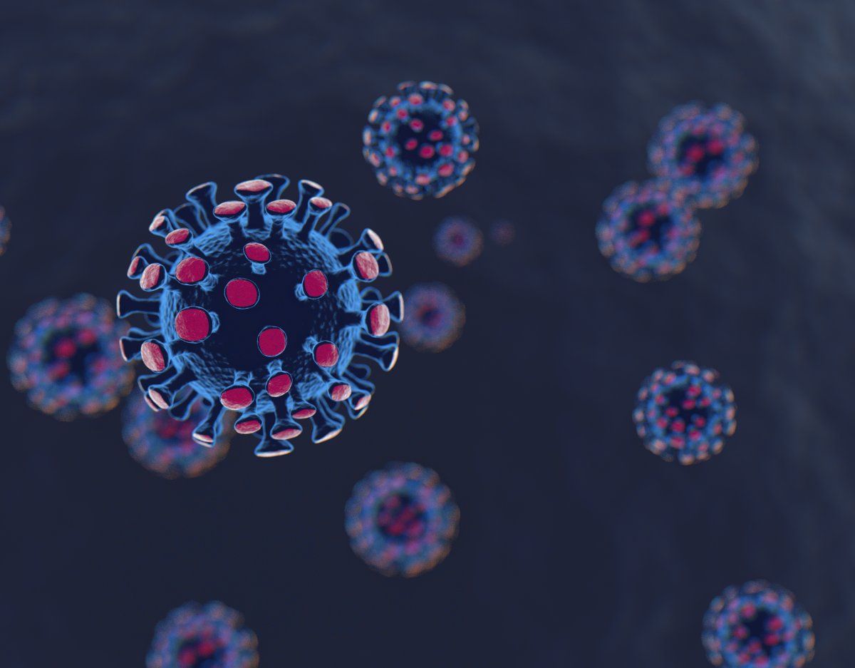 A digital image of the novel coronavirus.
