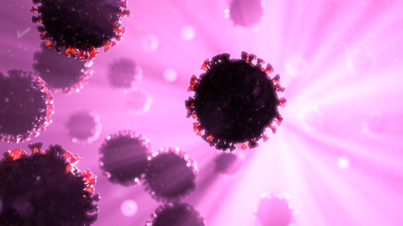 B.C. reports 557 new COVID-19 cases, 11 deaths - image