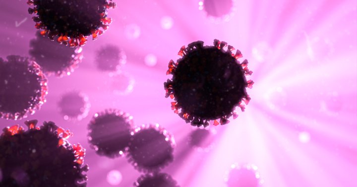 Middlesex London reports record setting 27 coronavirus cases – London