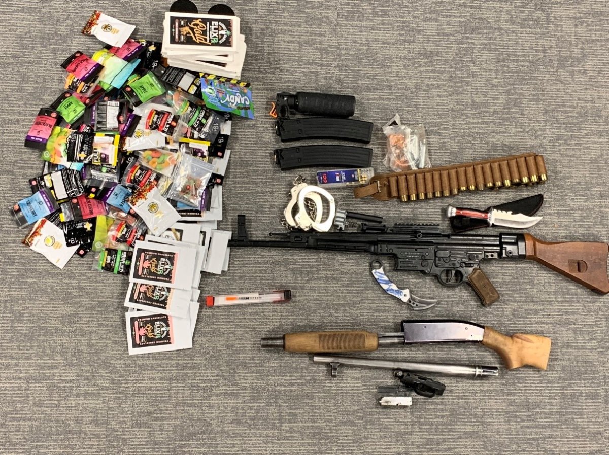 Guelph police seized various weapons and ammunition while carrying out search warrants. 