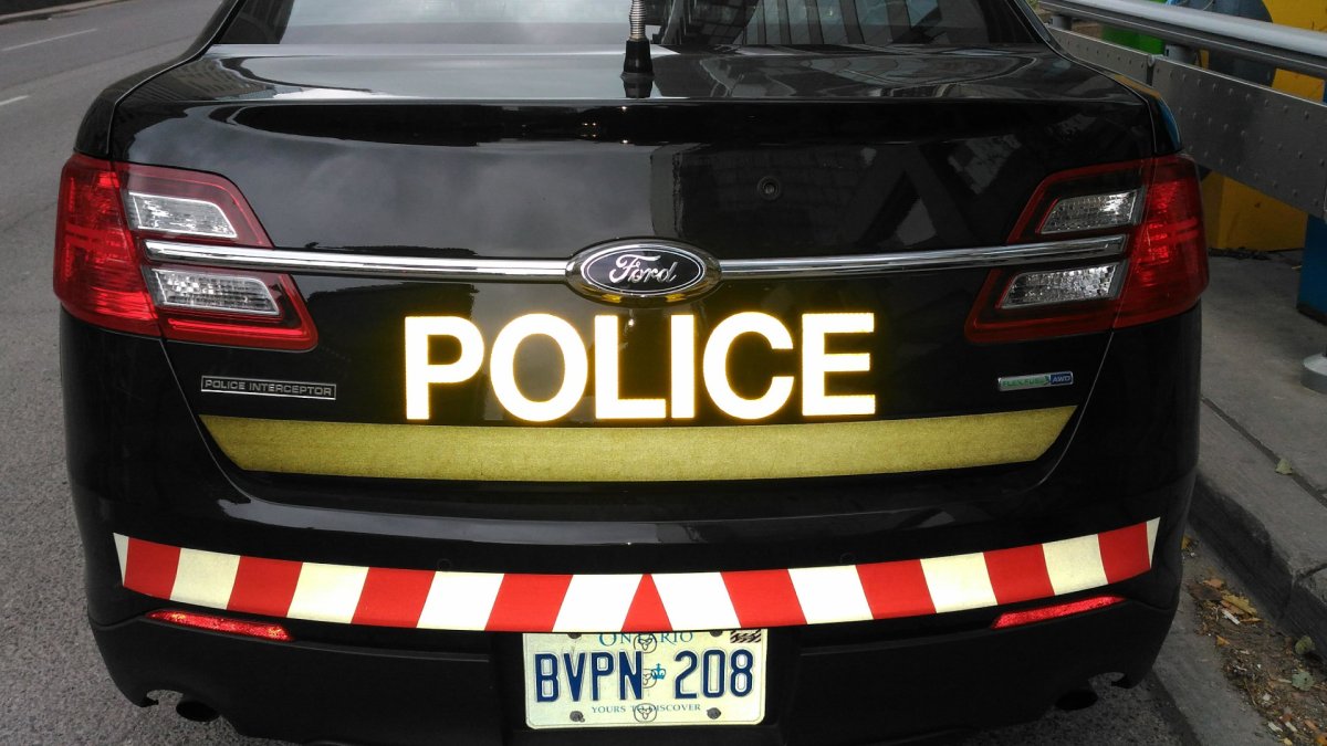 An Ottawa man is facing a slew of charges after he allegedly assaulted an OPP officer during a traffic stop in Napanee.