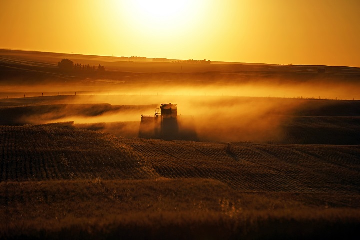 The Oct. 31, Your Saskatchewan photo of the day was taken by Gwen Nesvold near Crane Valley.