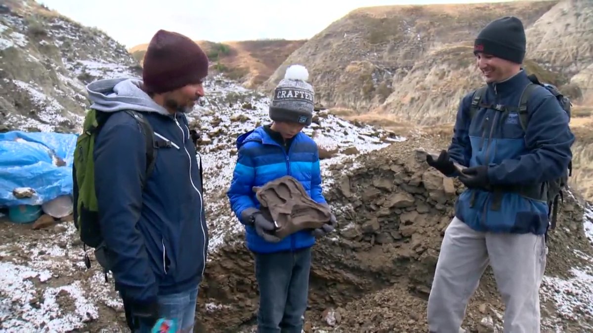 12-year-old Nathan finds rare dinosaur fossil 'of great significance' in  southern Alberta | Globalnews.ca