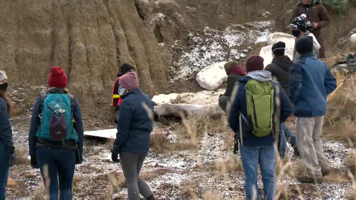 Aspiring paleontologist Nathan Hrushkin, 12, from Calgary, discovered a rare dinosaur skeleton earlier this year at Horseshoe Canyon in the Badlands region of southeastern Alberta, on the Nature Conservancy of Canada conservation lands.