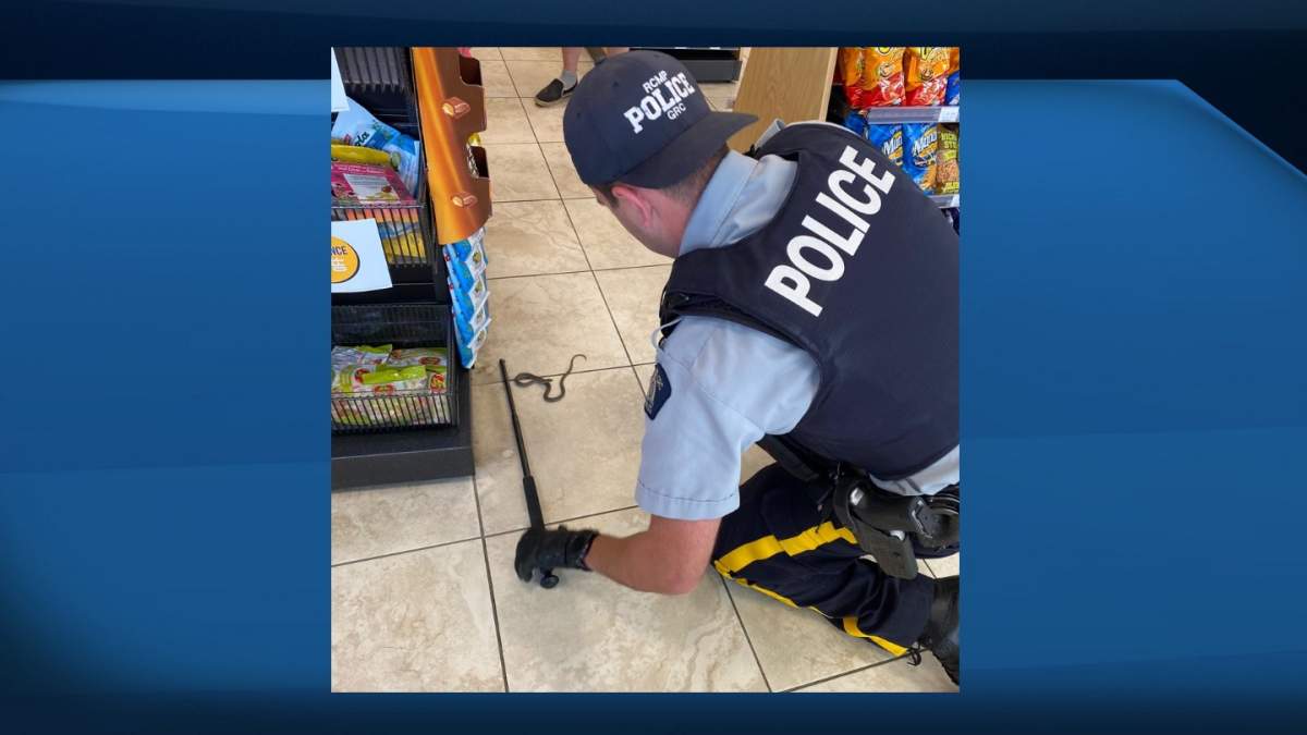 Alberta RCMP shared this "arrest" of a grass snake. 