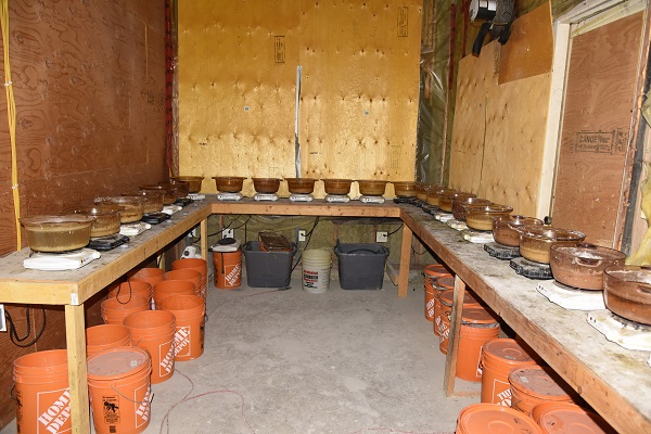 Wooden counter holding glass cooking vessels on hot plates.
