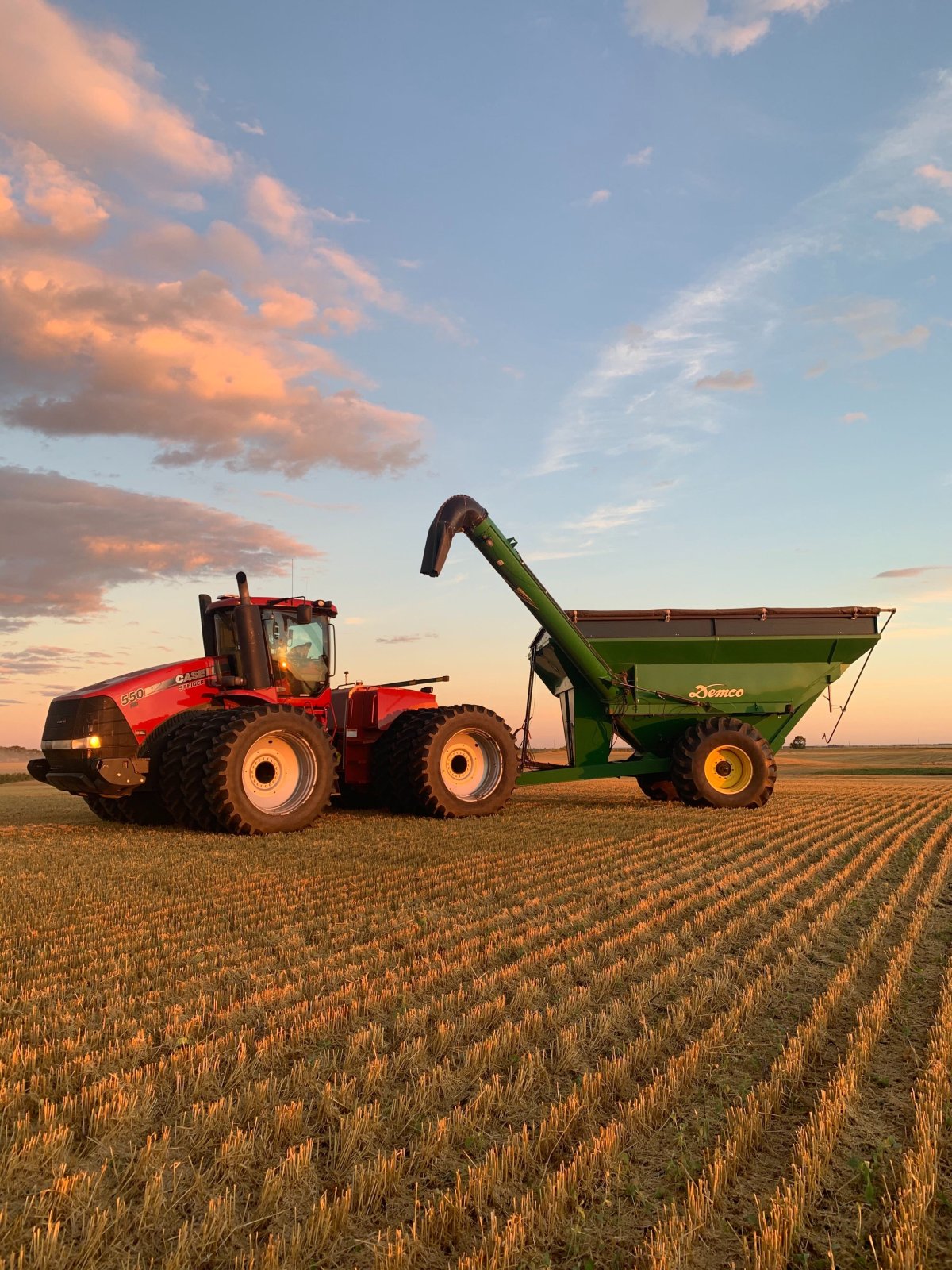 Canola crops looking up as Manitoba’s farmers near harvest finish line Winnipeg Globalnews.ca