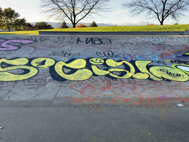 RCMP are looking for the public's help in locating three prolific taggers responsible  for hundreds of graffiti tags around Kelowna.