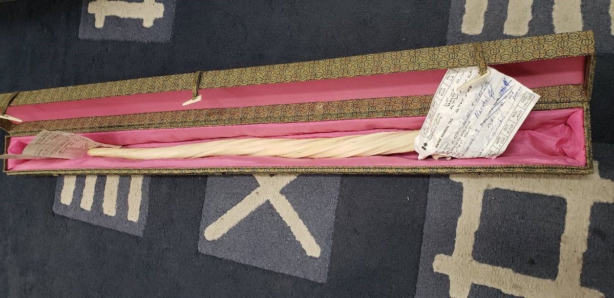 A narwhal tusk was donated to a Goodwill in Calgary in September 2020.