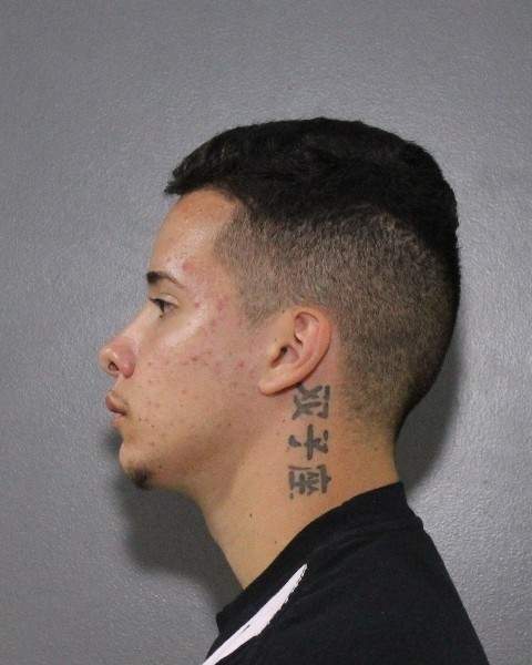 Dyllan Petrin is believed to be in the south-central area of British Columbia.