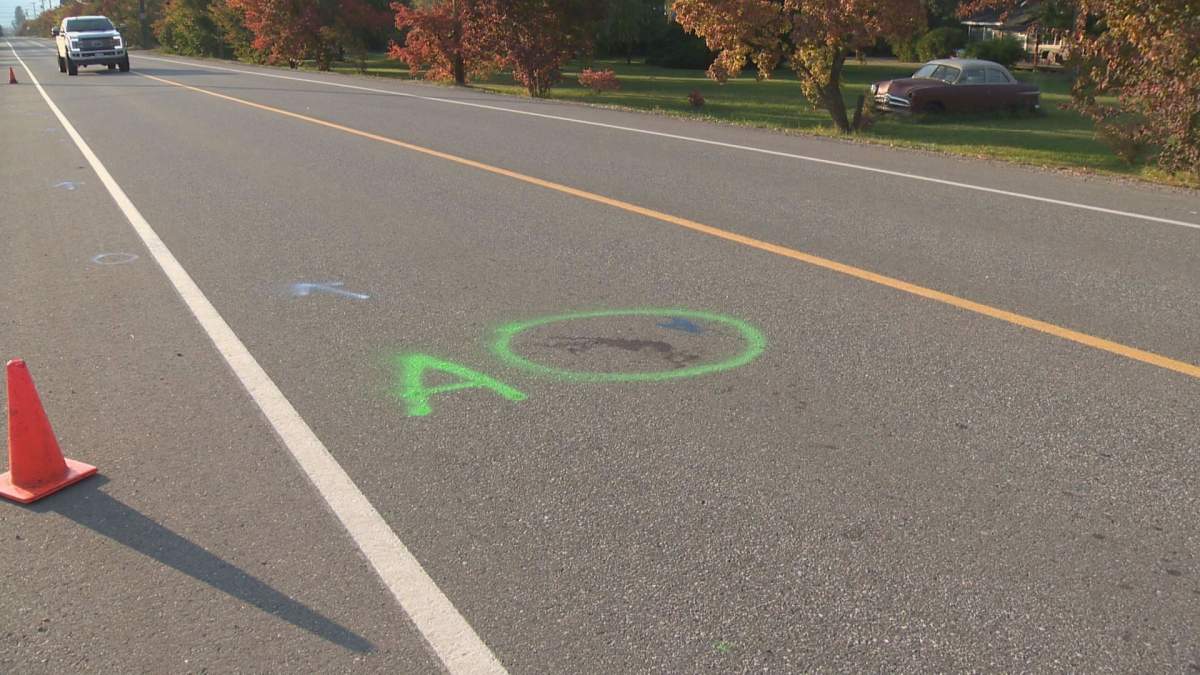 Along Kalamalka Rd. a series of red stains were visible Saturday. Some circled in spray-paint.