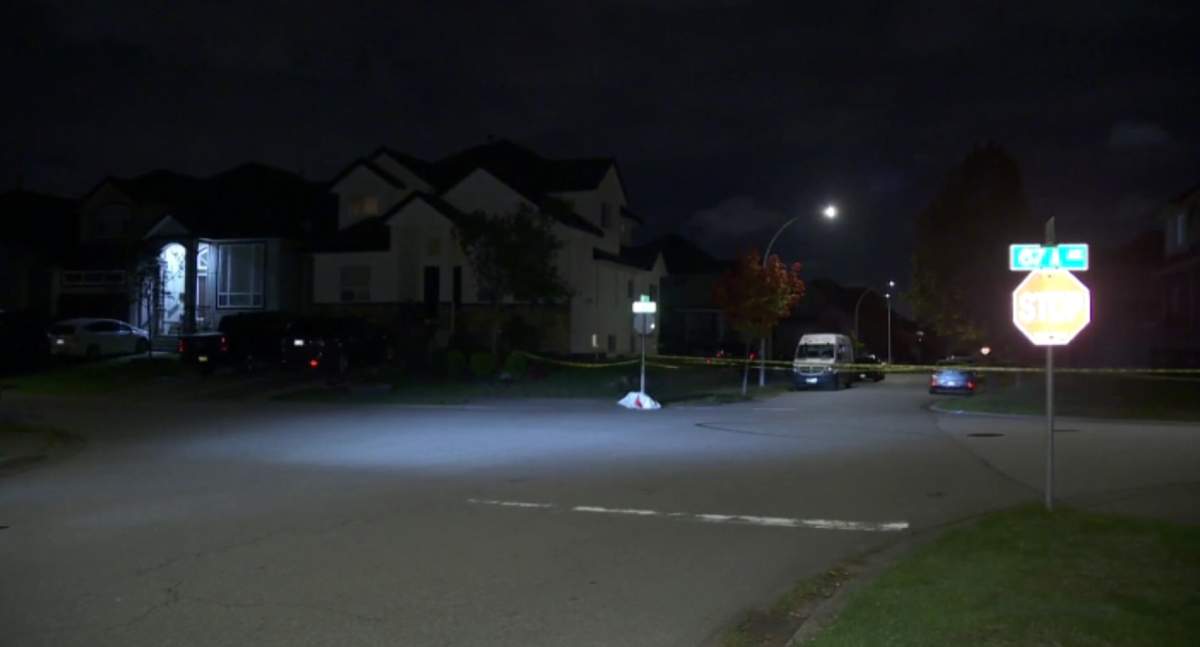Woman dead in Surrey stabbing that left man and 2-year-old child injured - image