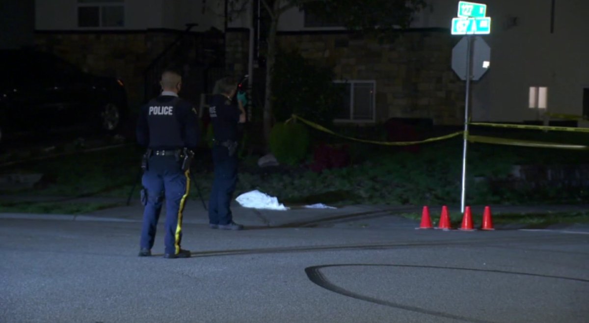 A heavy police presence in the Newton neighbourhood of Surrey Tuesday night, after reports of a multiple stabbing involving a toddler at a townhouse complex. 