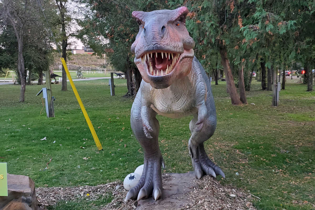 The Tyrannosaurus rex at the Dinosaur Drive-Thru exhibit at Bingemans in Kitchener in 2020.