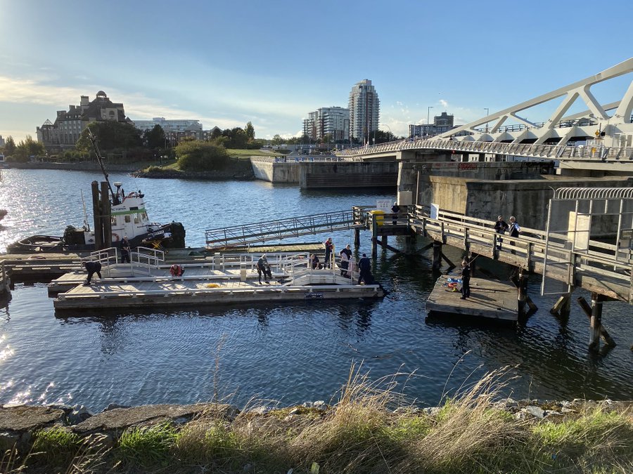 Victoria police search the inner harbour for a missing man on Wednesday, Oct. 14, 2020. 