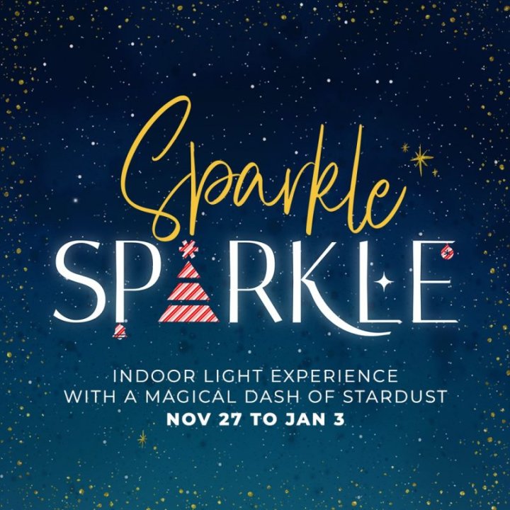 Calgary’s Telus Spark launches new indoor Christmas lights display