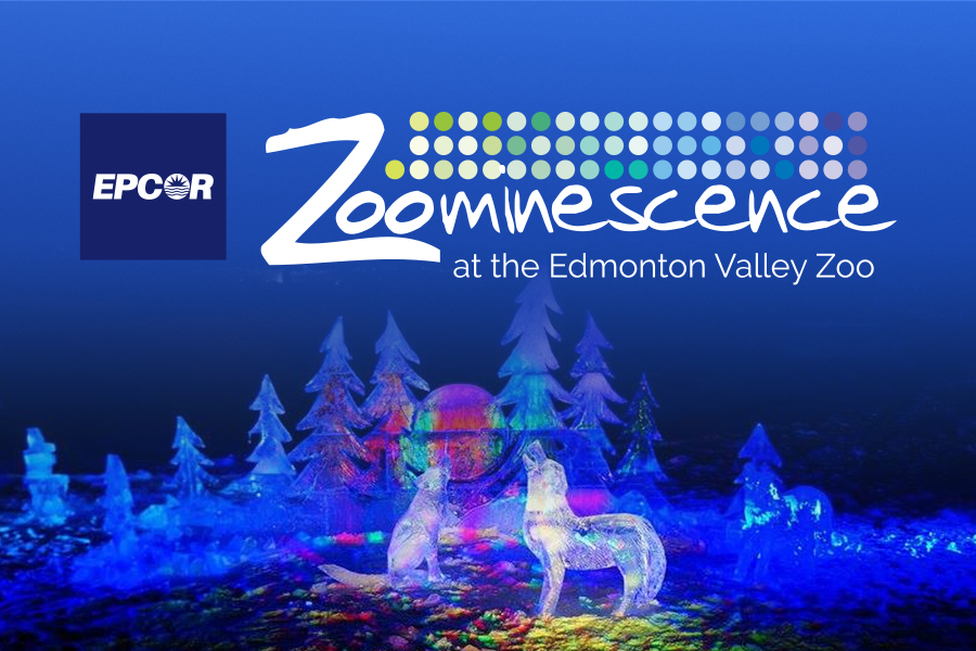 Global Edmonton and 630 CHED support: Epcor’s Zoominescence - image