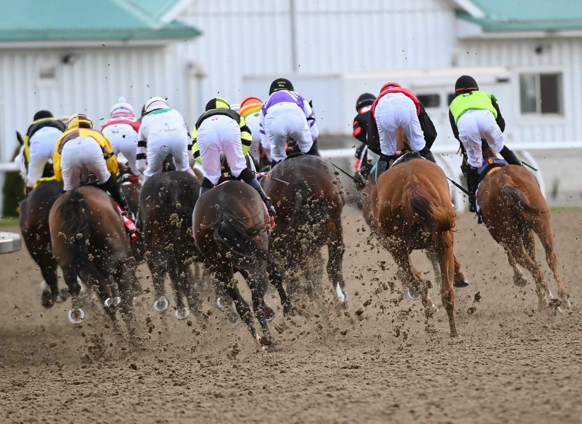 Horses kick up dirt as jockeys ride on the first corner during the running of the 161st Queen's Plate at Woodbine Racetrack in Toronto on Saturday, September 12, 2020.  