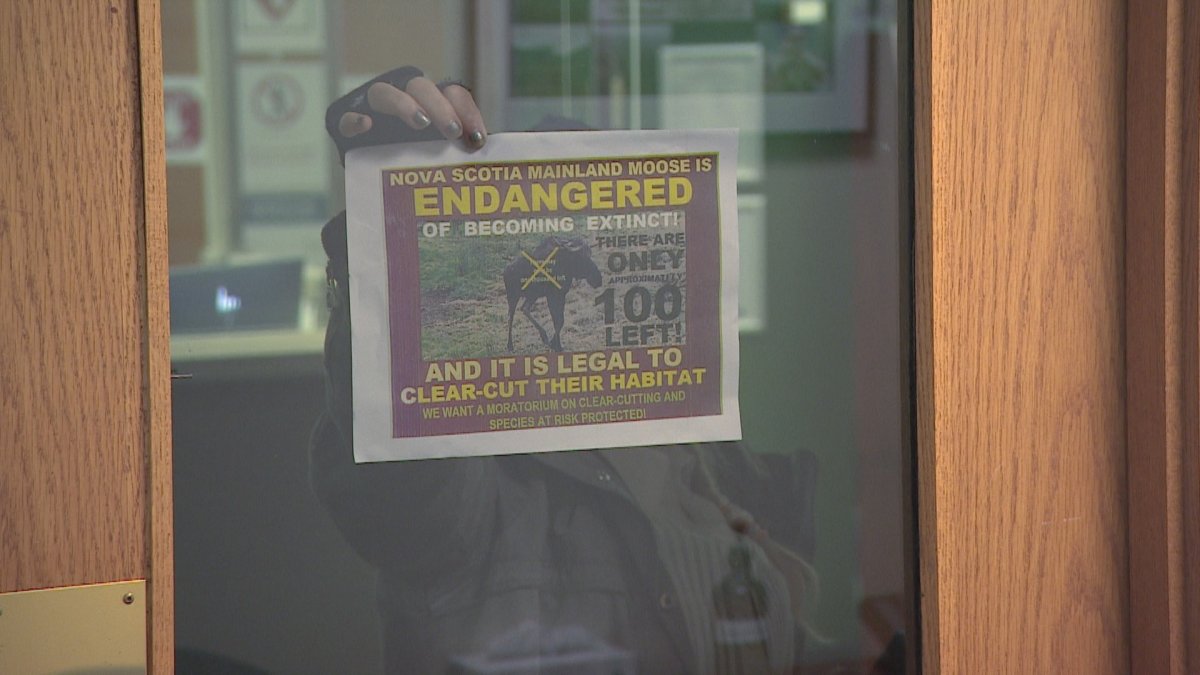 A protestor calling for protection of moose habitat in Nova Scotia holds a poster at the N.S. Lands and Forestry Department office in Halifax, Nov. 24. 