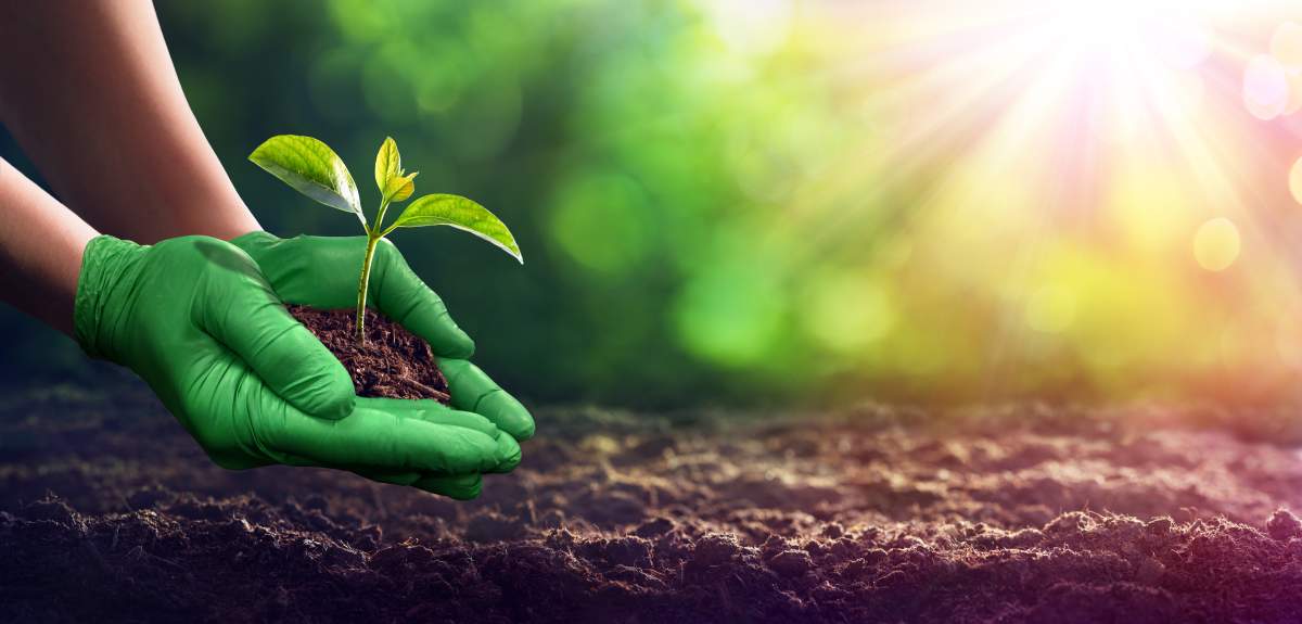 5559PF Green Monkey [Watson Gloves Supplied]