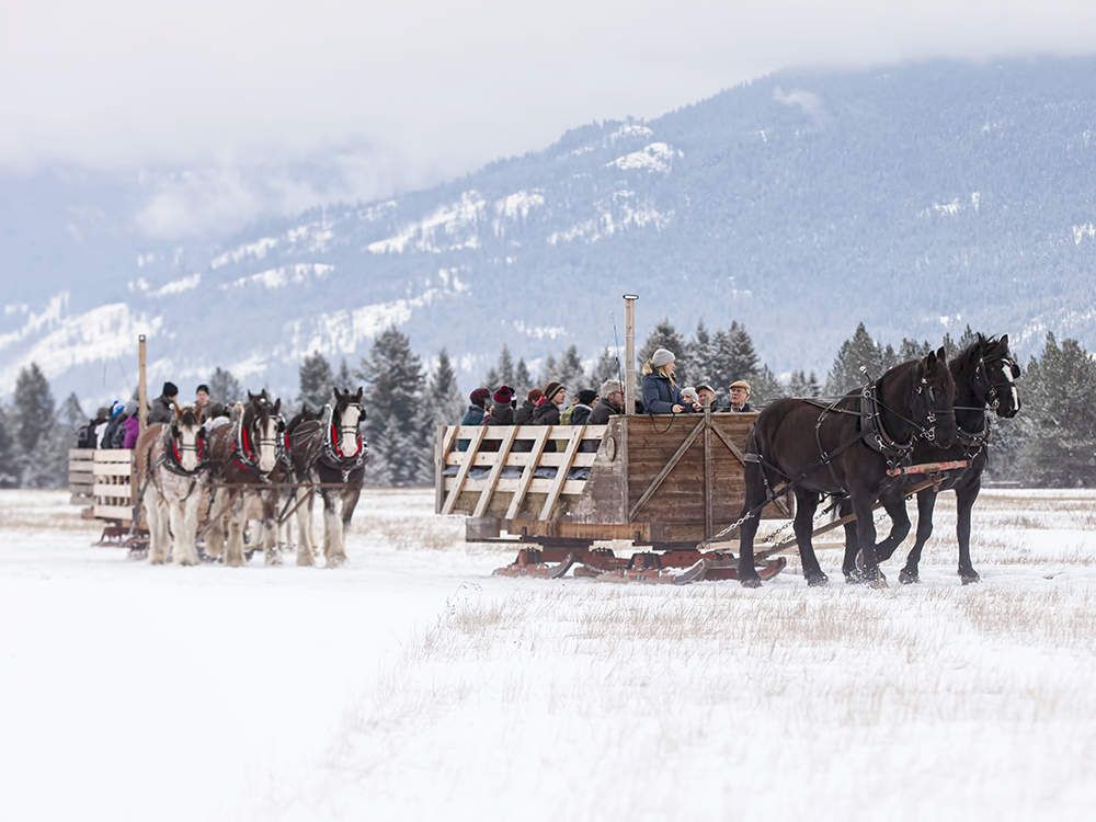 This week, Horse Drawn Okanagan announced that for safety concerns, it was suspending its annual December sleigh ride.
