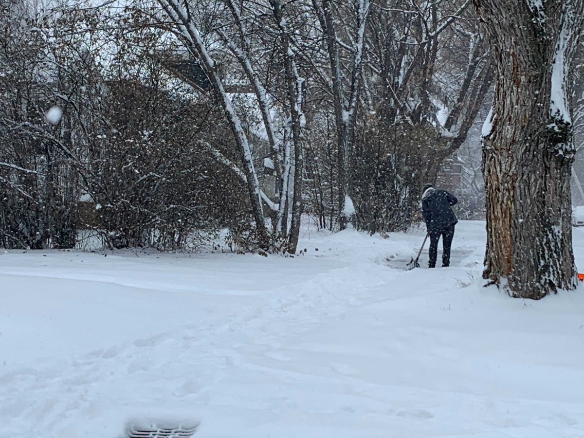 Edmonton and area pounded with snow Saturday, 2030 cm now expected