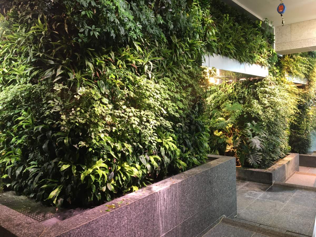 The living wall in the atrium of the Federal Building in Edmonton Alta, on Friday, November 20, 2020.
