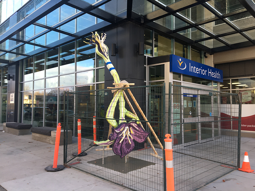 Titled ‘Flower,’ the 13-foot tall and 600-pound structure was installed this week in front of the Interior Health building in Kelowna.