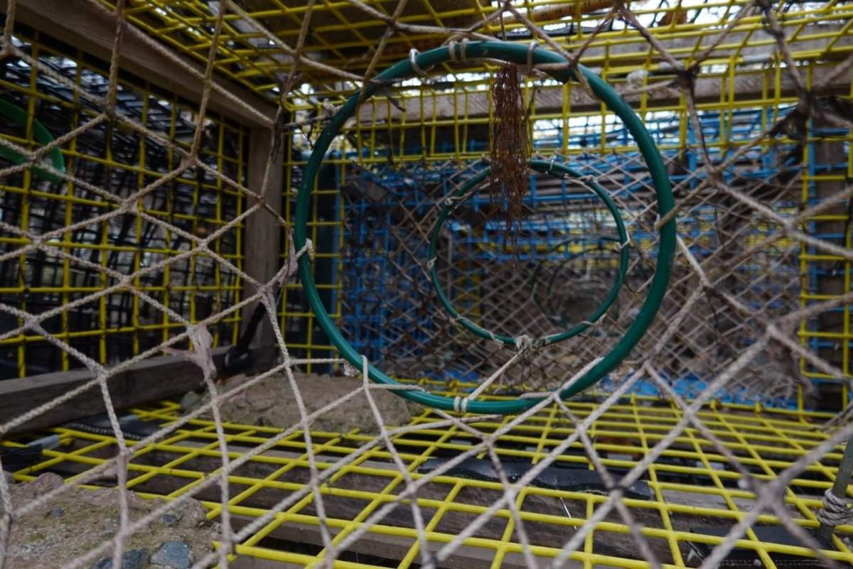 A lobster trap near Pictou Landing First Nation on Nov. 5, 2020. 