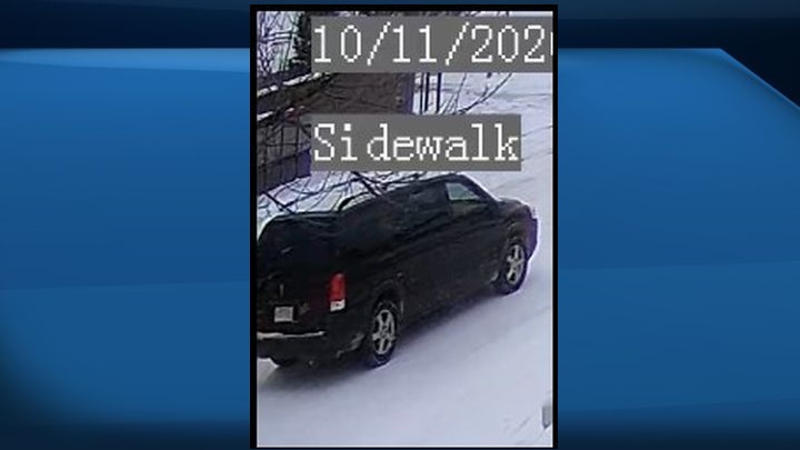 Police believe Carole Byrne, a missing Edmonton woman, spoke to someone in a Pontiac Montana on Nov. 10, 2020. Police said they do not suspect foul play has any role in her disappearance.