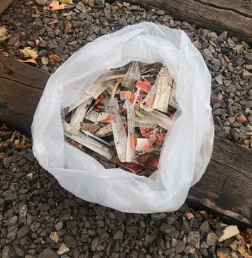 New Glasgow Regional Police found approximately 600 needles that were improperly disposed of near railway tracks.