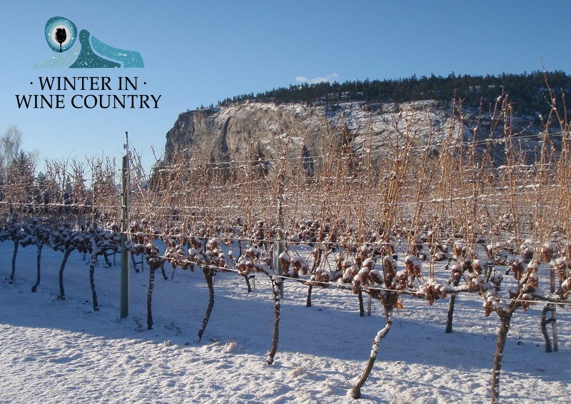 Osoyoos Winter in Wine Country Festival - image