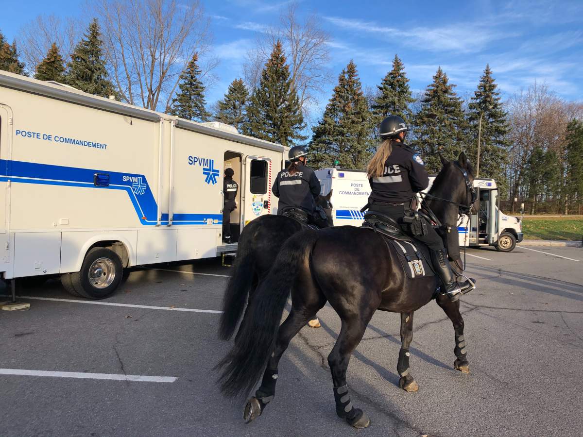 Police seek help to solve Mount Royal assault - image