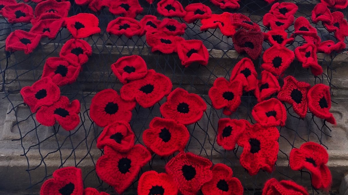 Niagara Falls museum commemorates Remembrance Day with knitted poppies - image