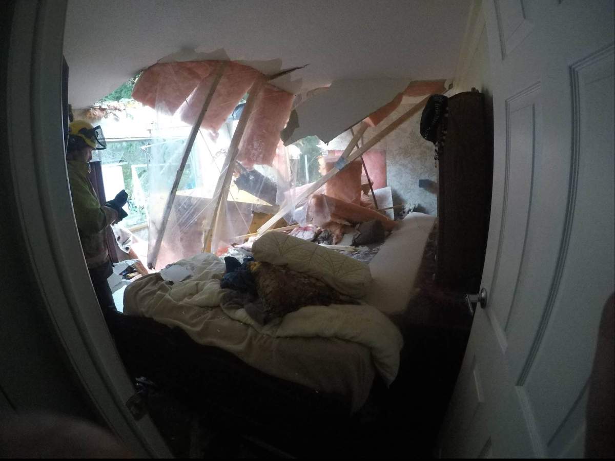 A tree fell through the roof of a trailer in Port Alberni on Vancouver Island and a woman inside suffered a head injury. Credit: Allan Felker.